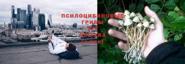 гашик Алзамай