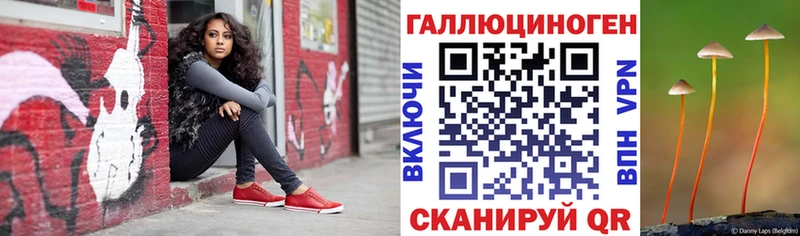 купить наркотики сайты  Порхов  Галлюциногенные грибы мицелий 